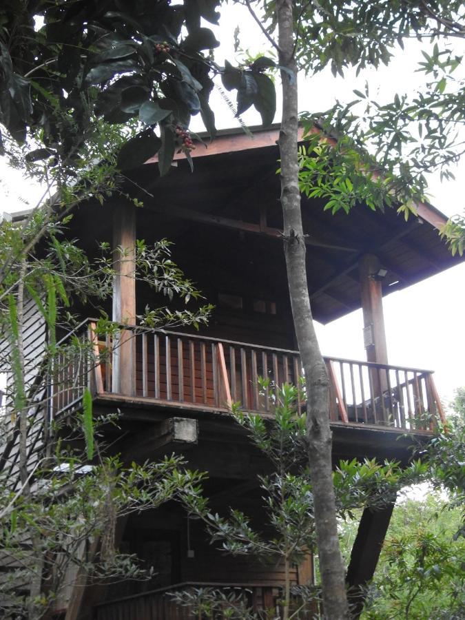Bed and Breakfast Wilpattu Tree House Nochchiyagama Exterior foto