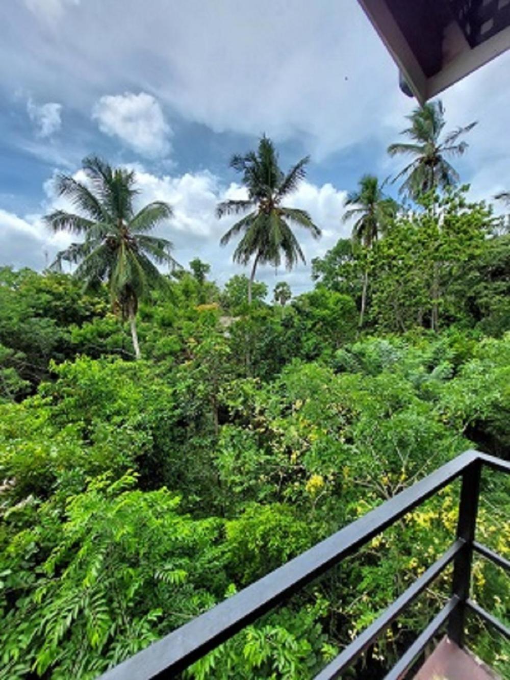 Bed and Breakfast Wilpattu Tree House Nochchiyagama Exterior foto