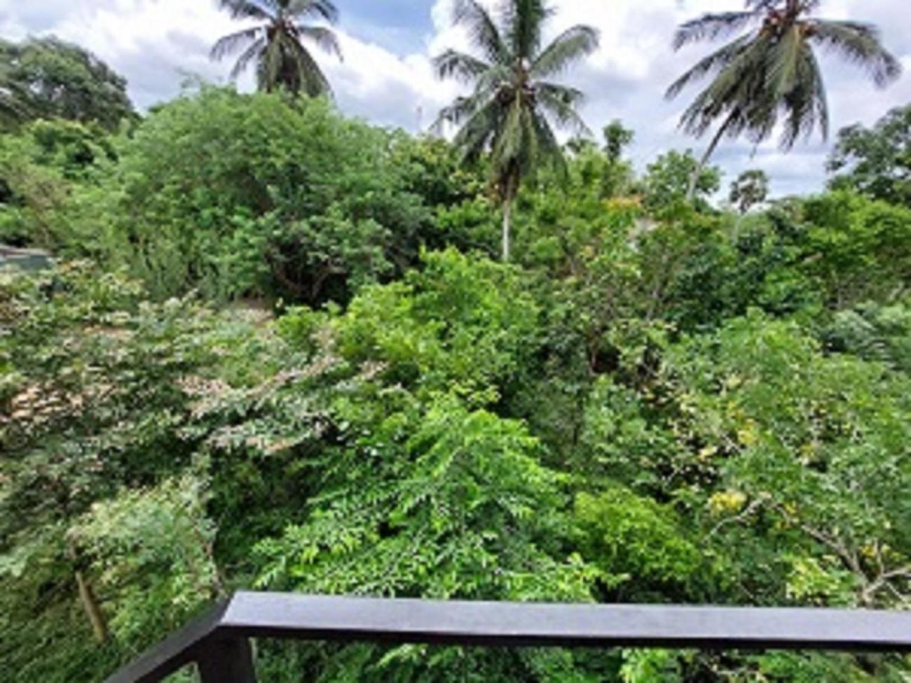 Bed and Breakfast Wilpattu Tree House Nochchiyagama Exterior foto