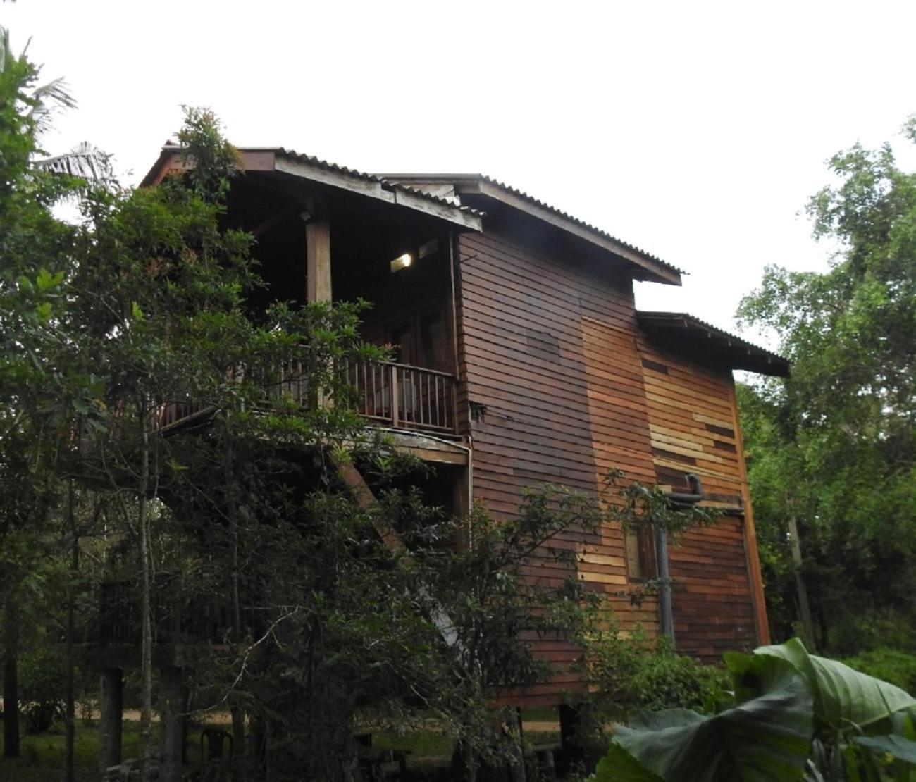 Bed and Breakfast Wilpattu Tree House Nochchiyagama Exterior foto