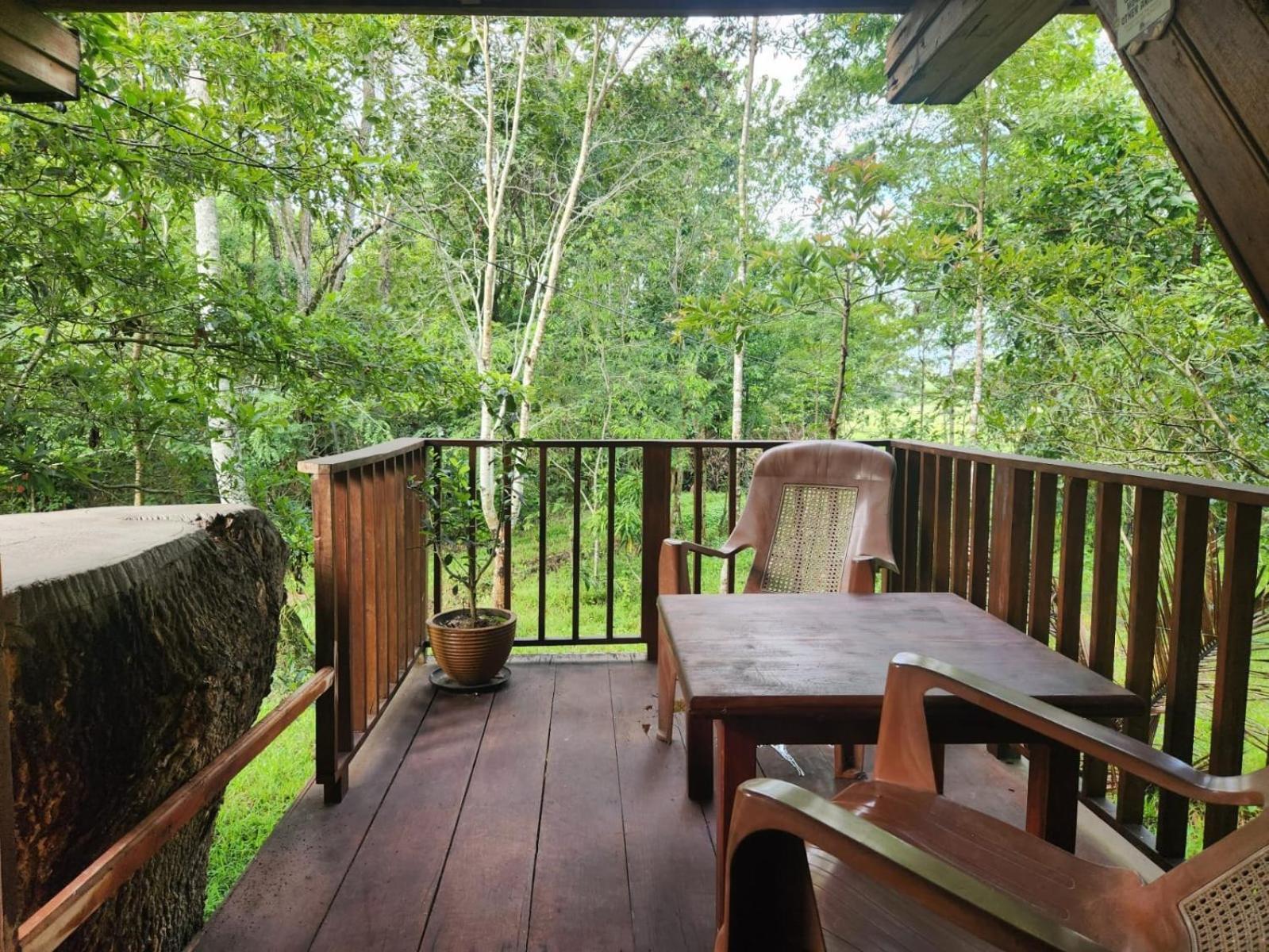 Bed and Breakfast Wilpattu Tree House Nochchiyagama Exterior foto