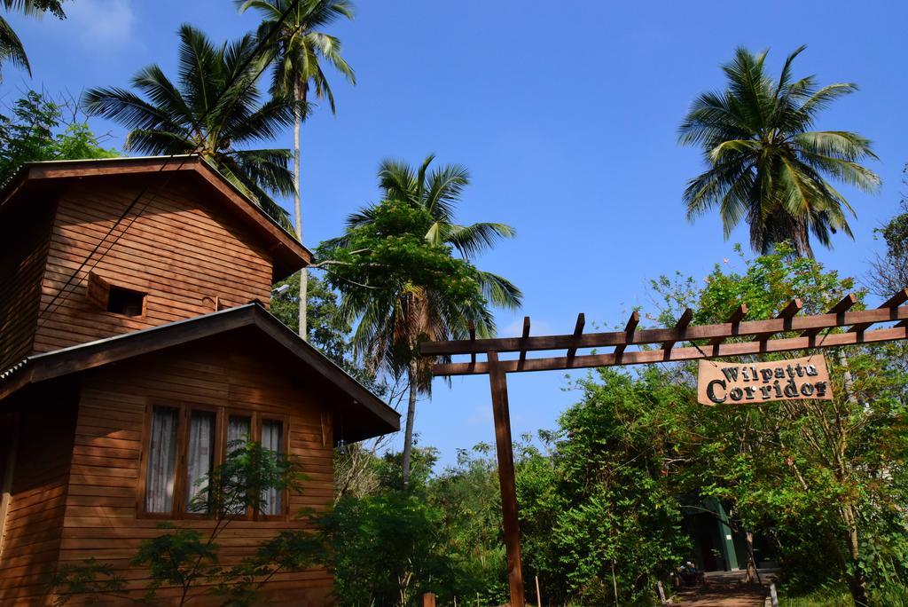 Bed and Breakfast Wilpattu Tree House Nochchiyagama Exterior foto