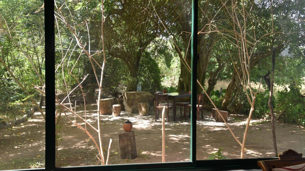 Bed and Breakfast Wilpattu Tree House Nochchiyagama Exterior foto
